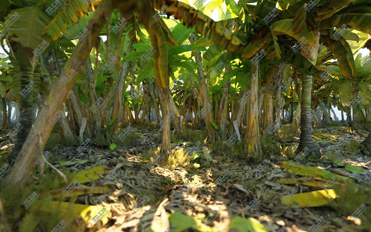 images/goods_img/202105071/Real Palm Forest HD 3D model/2.jpg